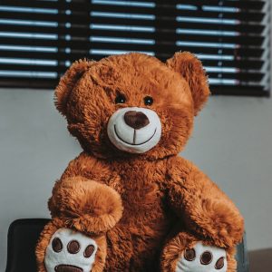 Gertie the Teddy